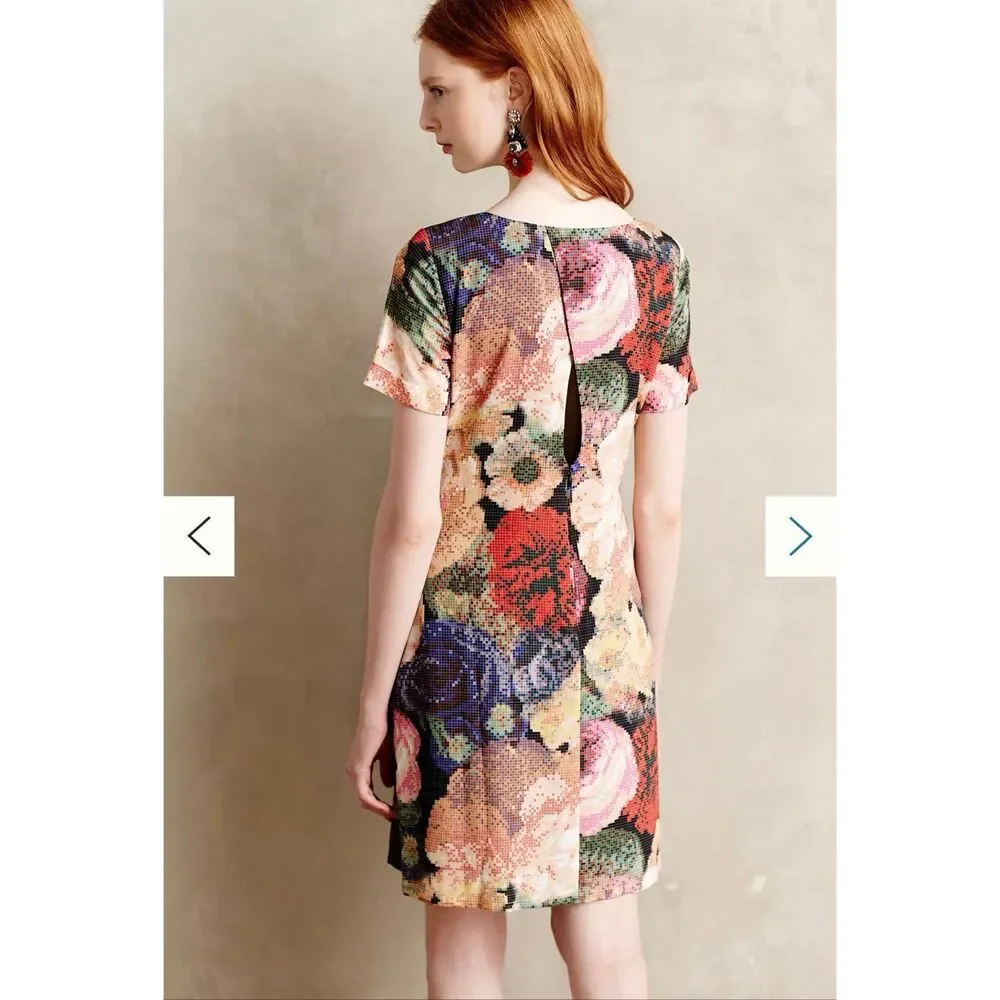 Ranna Gill Anthropologie Fanned Vignette Shift dress size 4
